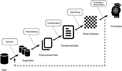 Deep Learning Techniques to Improve the Performance of Olive Oil Classification